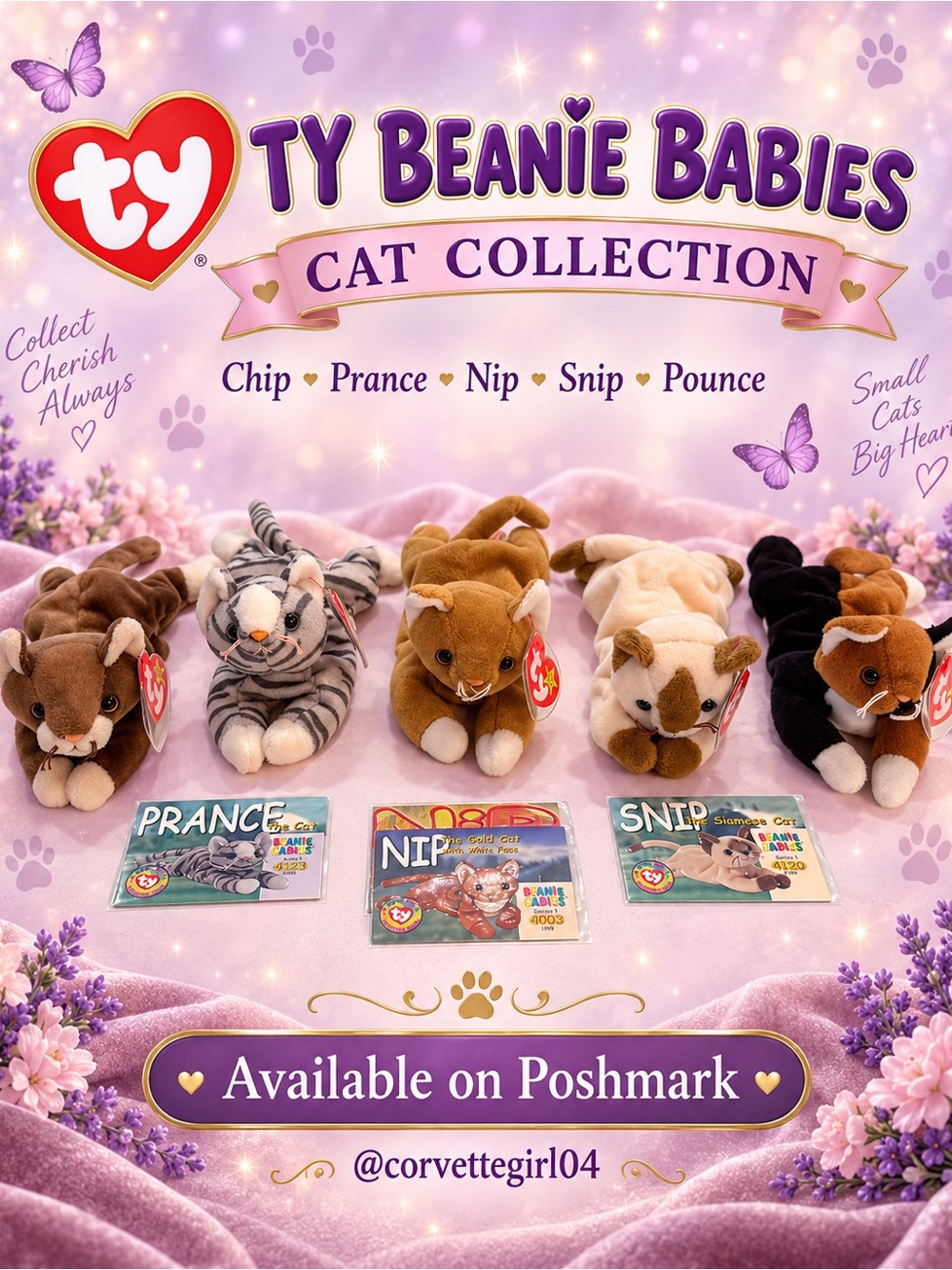 Ty Beanie Babies Cat Collection Plush and some collectors cards.